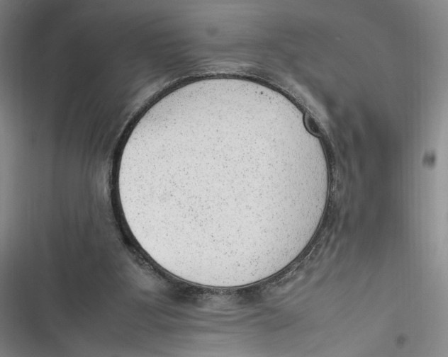 X0000116880107201001121331