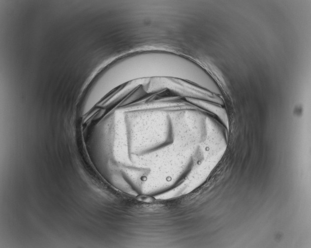 X0000116880108201001121331