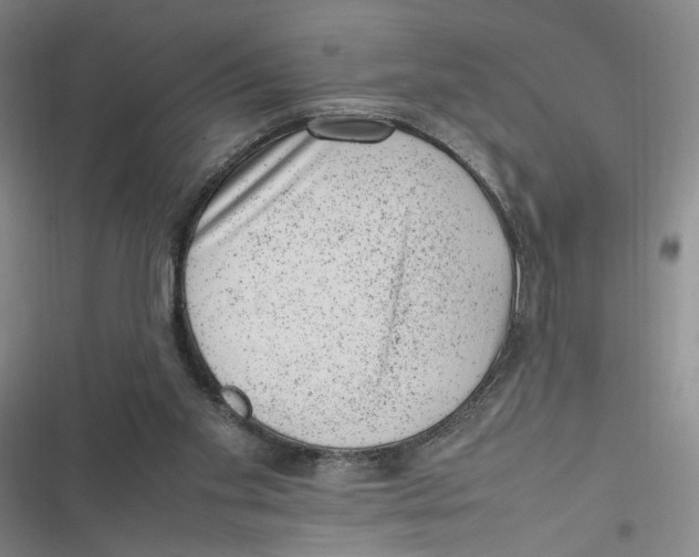 X0000116880109201001121331