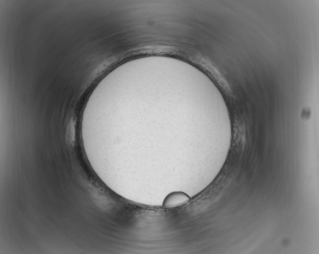X0000116880110201001121331