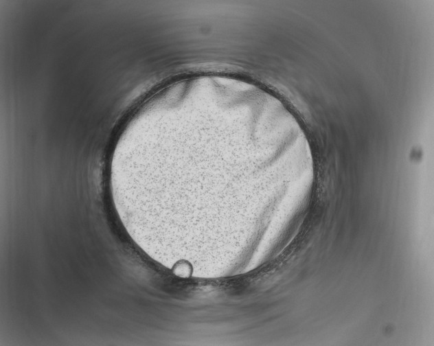 X0000116880111201001121331