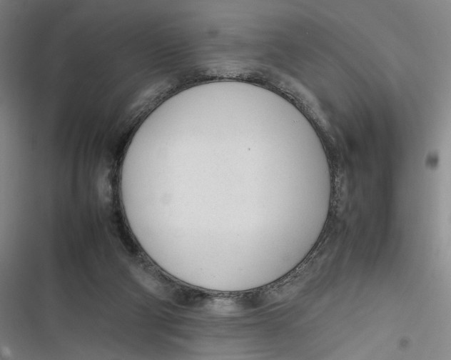 X0000116880114201001121331