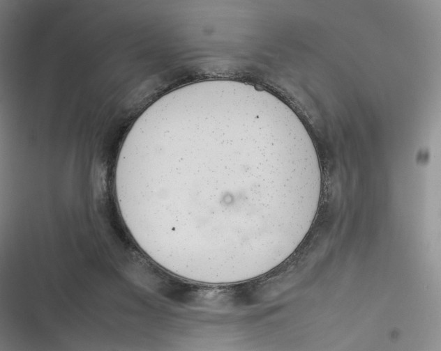 X0000116880117201001121331
