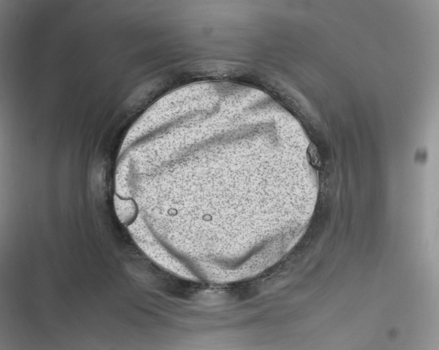 X0000116880119201001121331