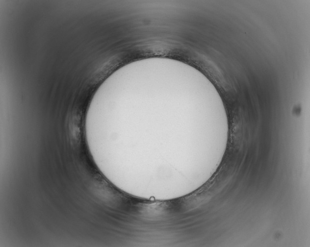X0000116880122201001121330