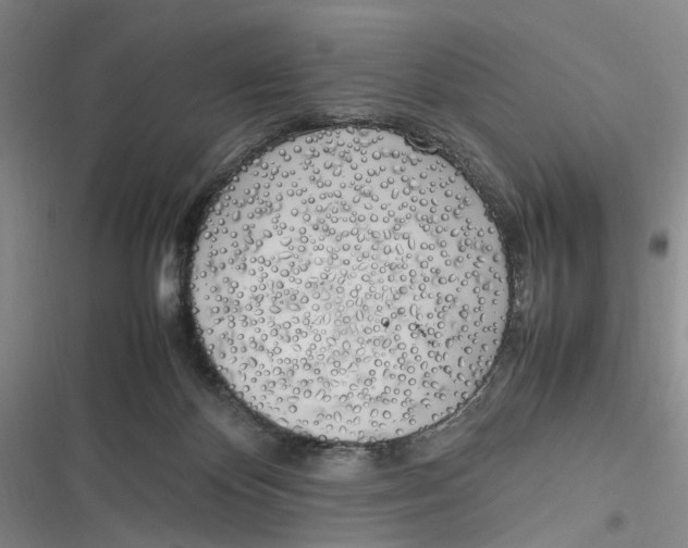 X0000116880124201001121330