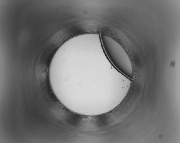 X0000116880125201001121330
