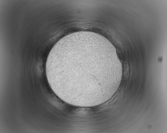 X0000116880128201001121330