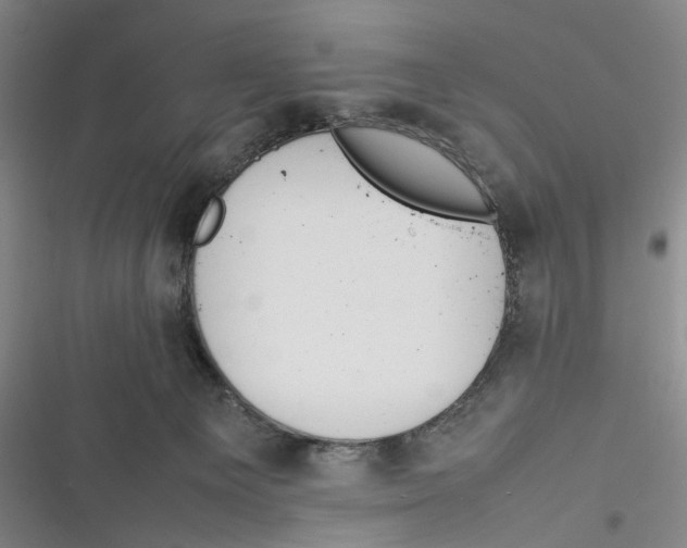 X0000116880129201001121330