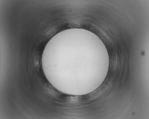 X0000116880134201001121330