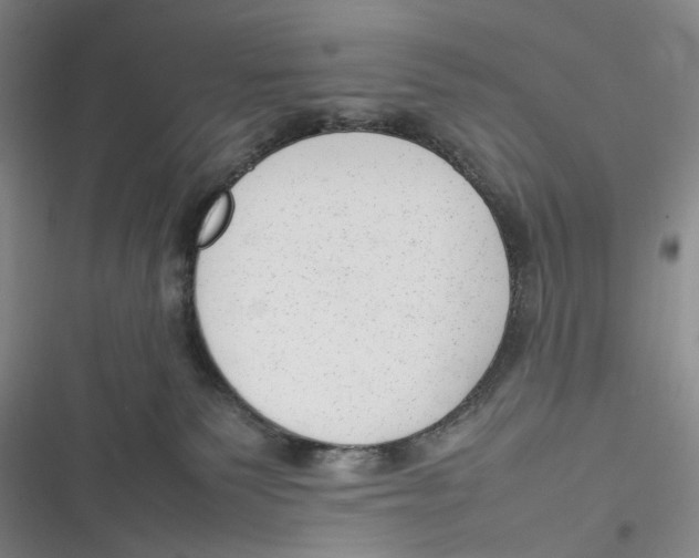 X0000116880135201001121330