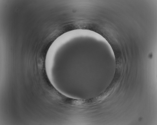 X0000116880139201001121330