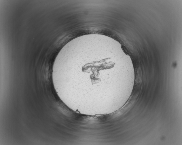 X0000116880140201001121330