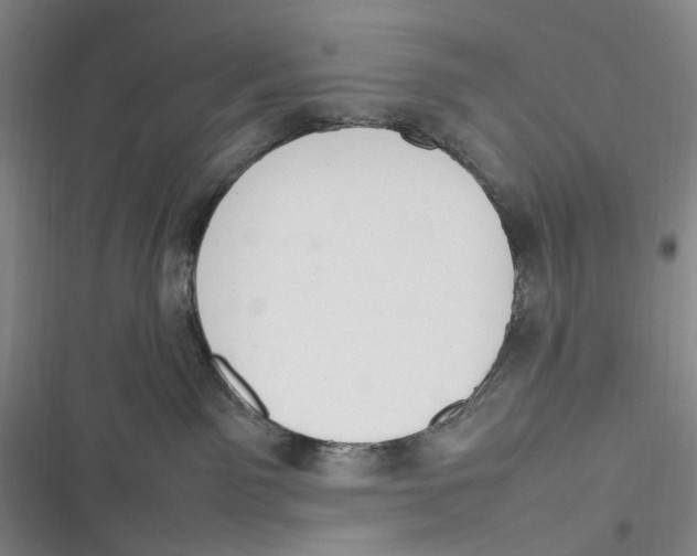 X0000116880141201001121330