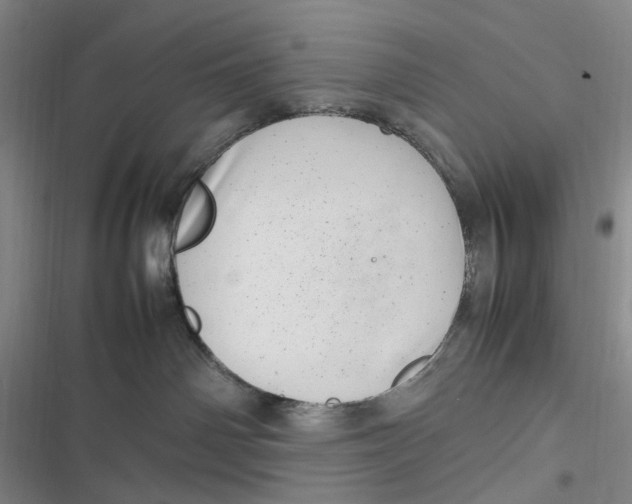 X0000116880142201001121330