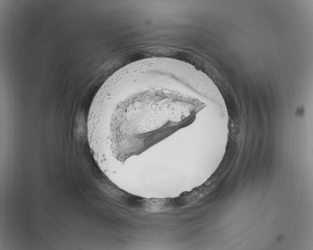 X0000116880143201001121330
