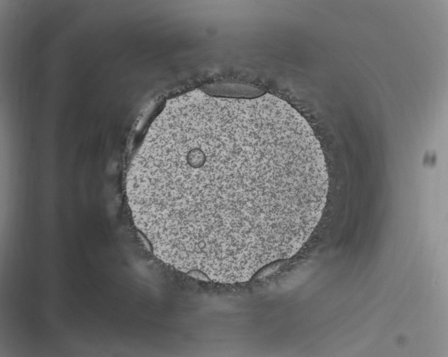 X0000116880144201001121330