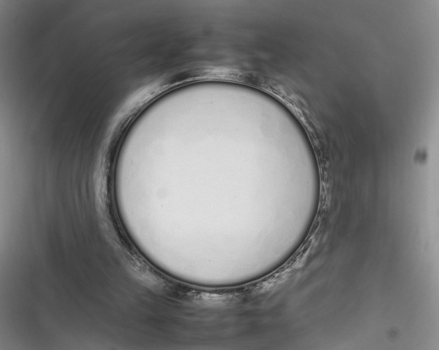 X0000116880149201001121330