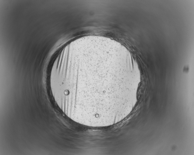 X0000116880150201001121330