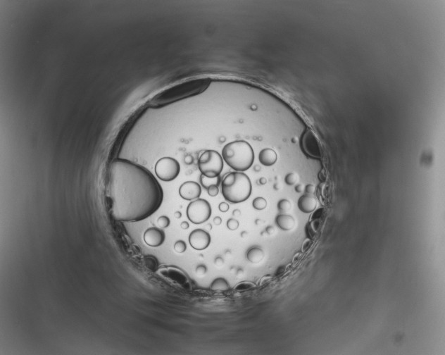 X0000116880151201001121330