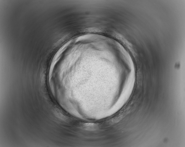 X0000116880153201001121330