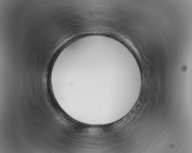 X0000116880154201001121330