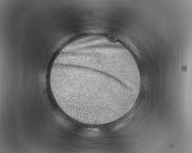 X0000116880159201001121330