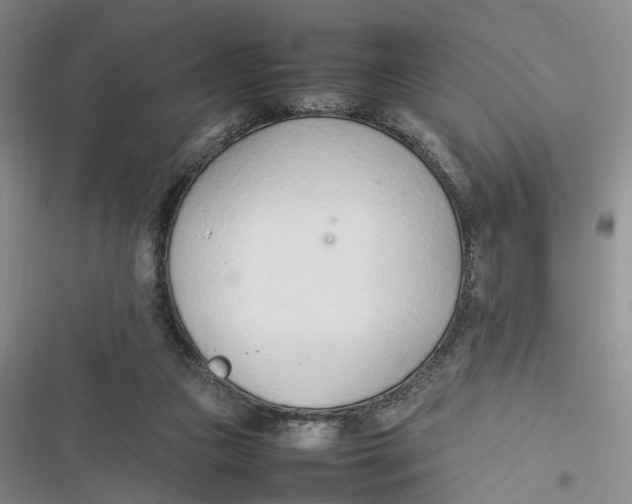 X0000116880161201001121330