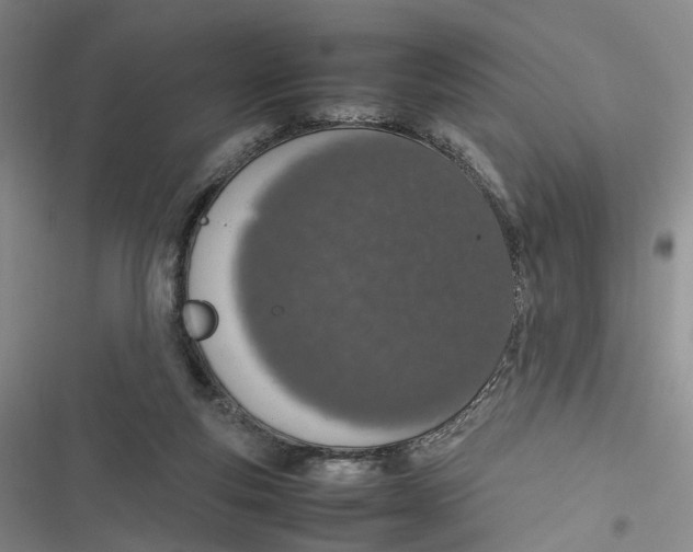 X0000116880163201001121330