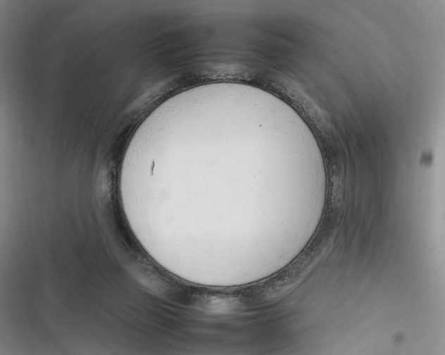 X0000116880165201001121330