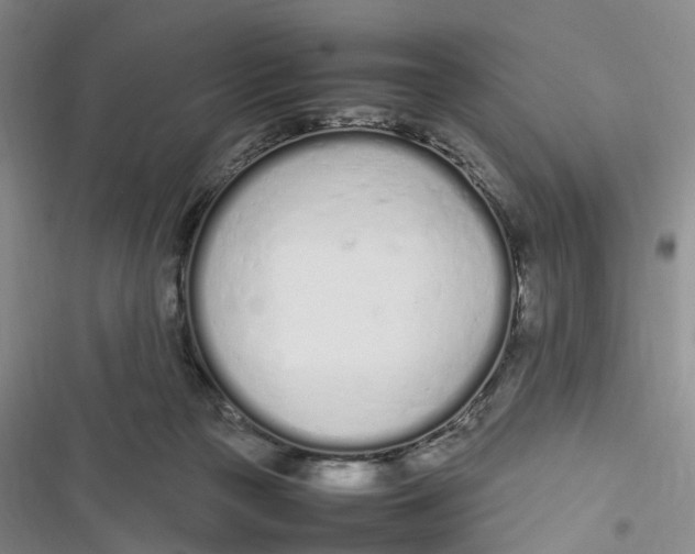 X0000116880169201001121330