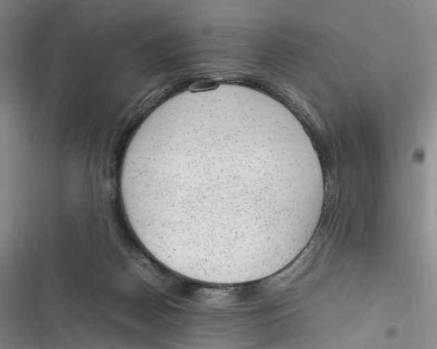 X0000116880170201001121330