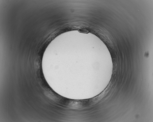 X0000116880174201001121330