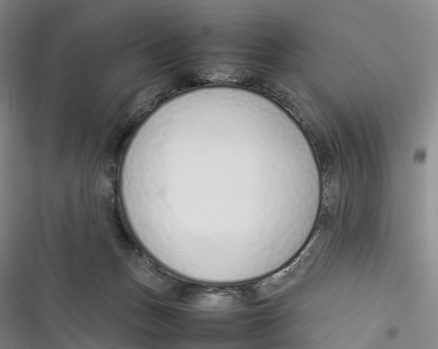 X0000116880175201001121330