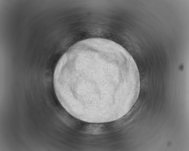 X0000116880179201001121330