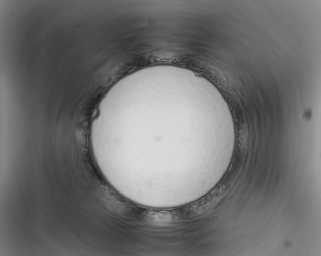 X0000116880181201001121330