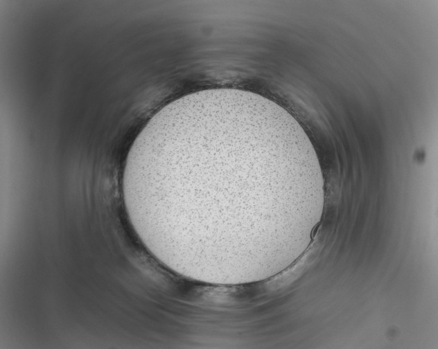X0000116880182201001121330