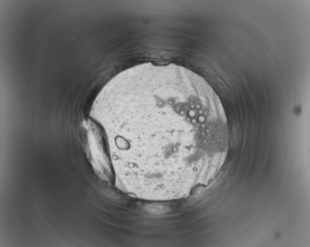 X0000116880183201001121330