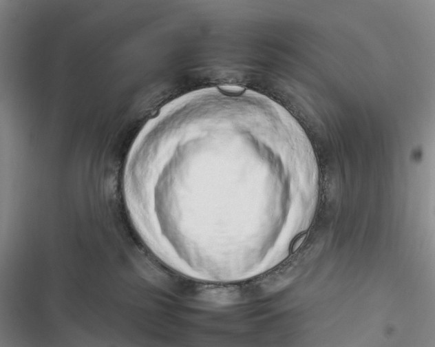 X0000116880185201001121330
