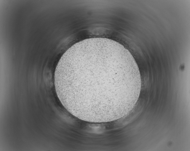 X0000116880187201001121330