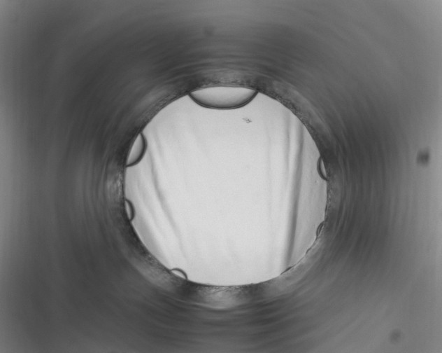 X0000116880191201001121330
