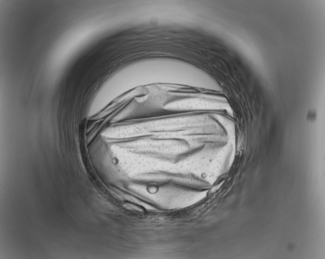 X0000116880195201001121329