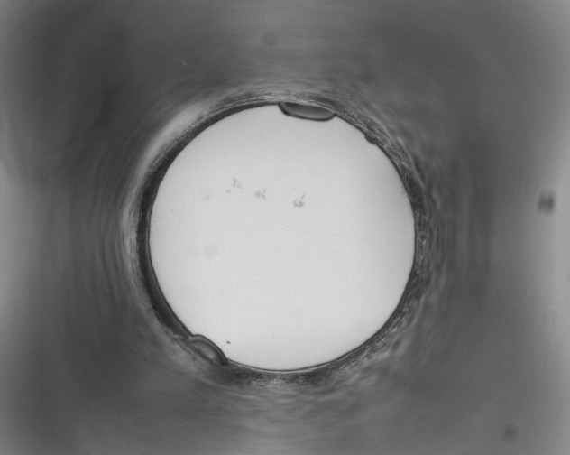X0000116880197201001121329