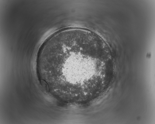 X0000116880199201001121329