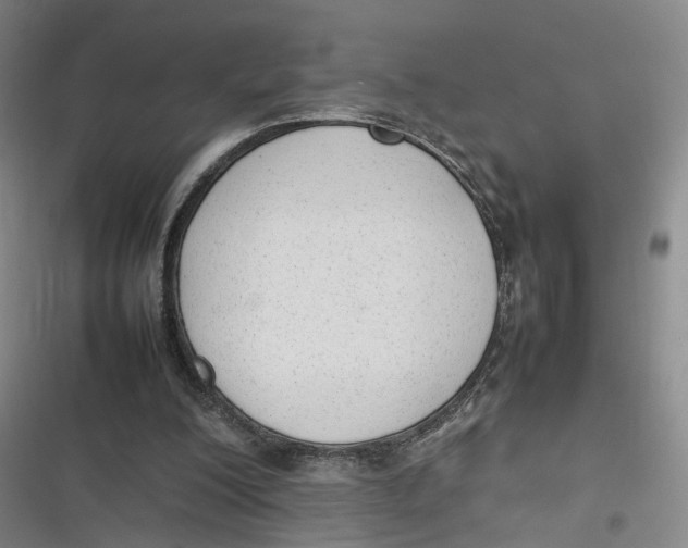 X0000116880200201001121329