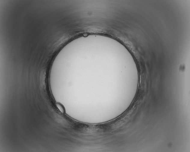 X0000116880201201001121329