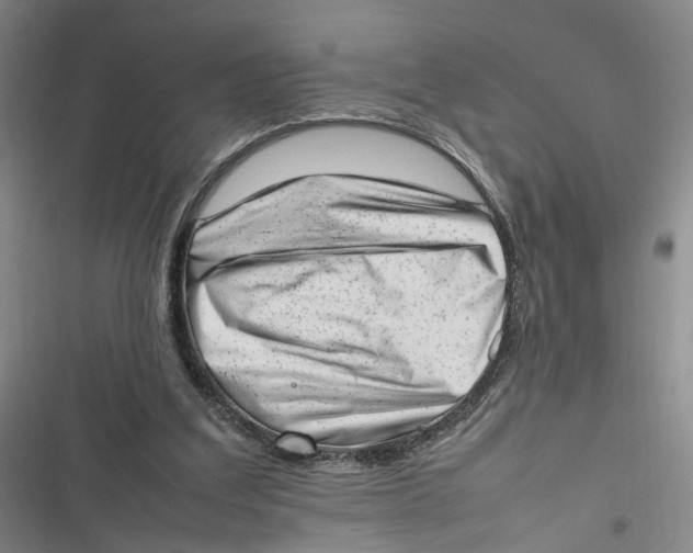 X0000116880203201001121329