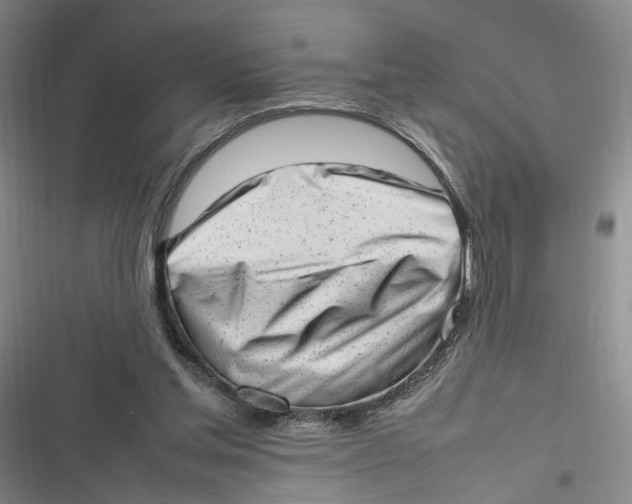 X0000116880205201001121329