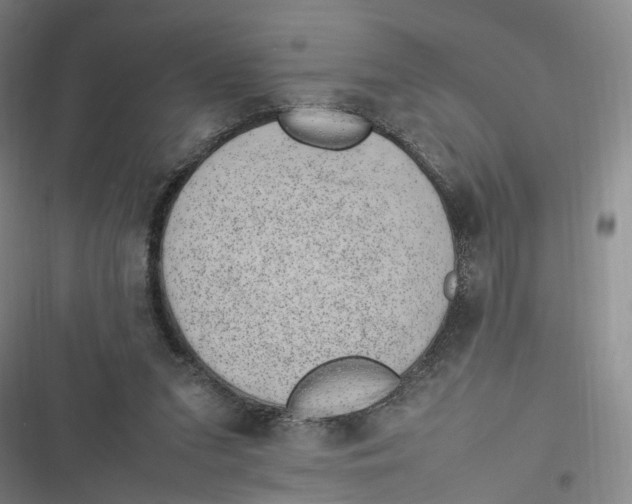 X0000116880207201001121329