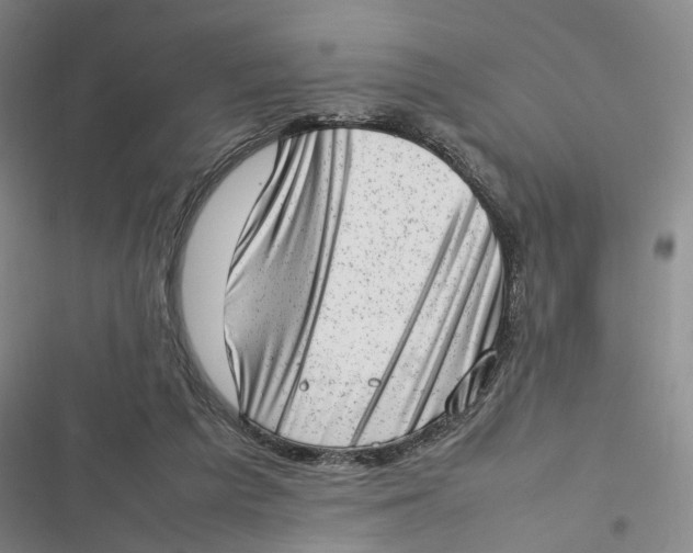 X0000116880209201001121329